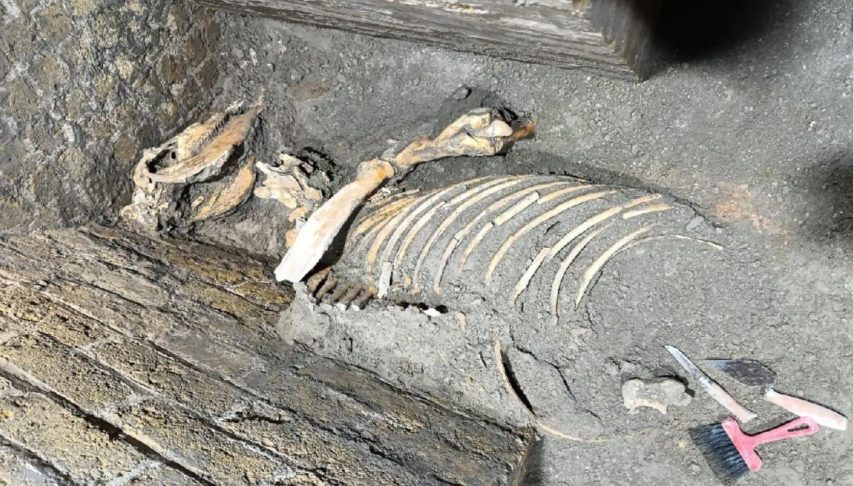 https://wips.plug.it/cips/tecnologia/cms/2025/08/pompei-occupata.jpg