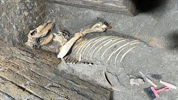 Pompei, scavi e nuove scoperte