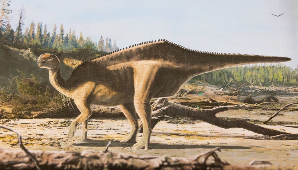 https://wips.plug.it/cips/tecnologia/cms/2025/08/scoperta-nuova-specie-di-dinosauro.jpg