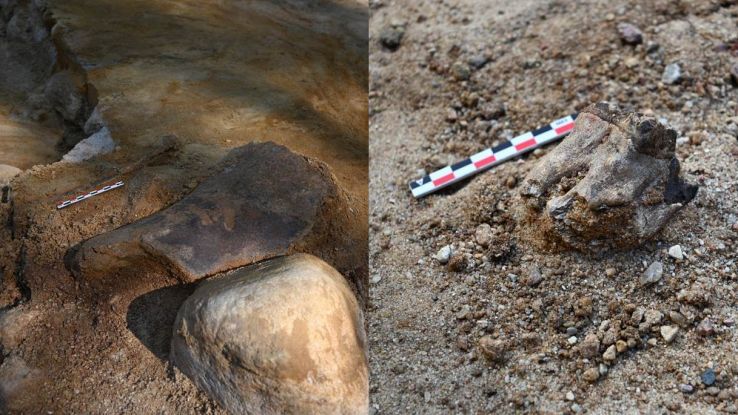 Sito Neanderthal in Polonia, è un'officina per attrezzi