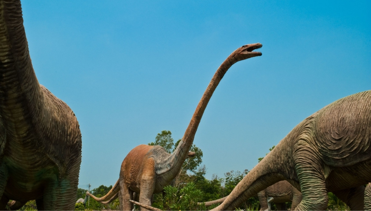https://wips.plug.it/cips/tecnologia/cms/2025/09/dinosauri-hanno-cambiato-il-mondo.jpg
