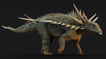 Dinosauro punk del Marocco