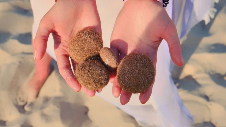 Sfere di Nettuno in spiaggia: cosa sono?
