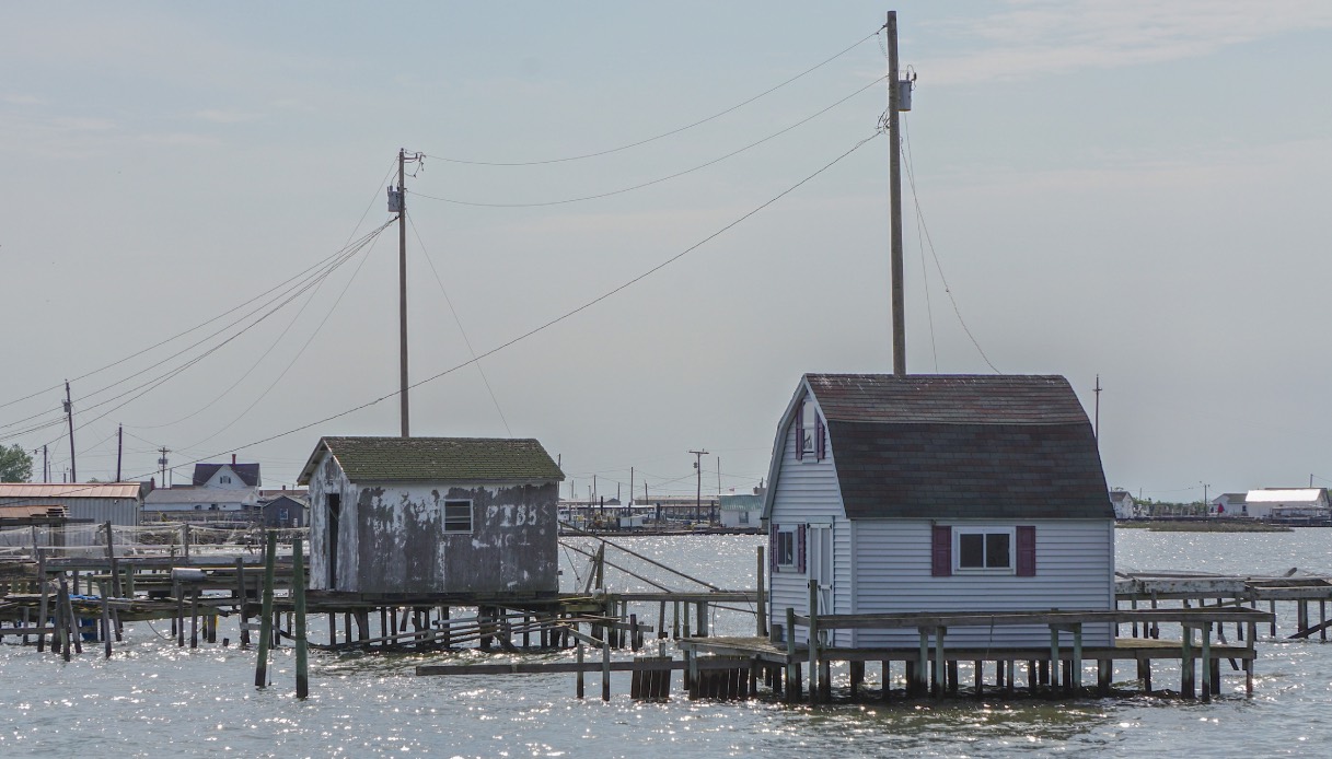 https://wips.plug.it/cips/tecnologia/cms/2025/09/tangier-island-virginia.jpg