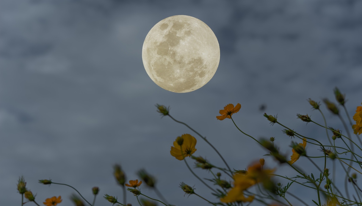 https://wips.plug.it/cips/tecnologia/cms/2025/10/citta-sulla-luna.jpg