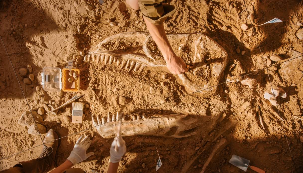 https://wips.plug.it/cips/tecnologia/cms/2025/10/fossili-di-dinosauri-mummificati.jpg