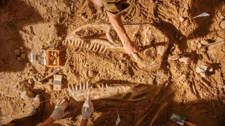 Fossili di dinosauri mummificati