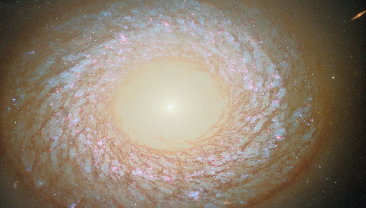 https://wips.plug.it/cips/tecnologia/cms/2025/10/hubble-e-la-scoperta-di-una-nuova-galassia.jpg