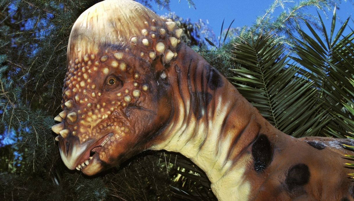 https://wips.plug.it/cips/tecnologia/cms/2025/10/nuova-specie-di-dinosauro.jpg