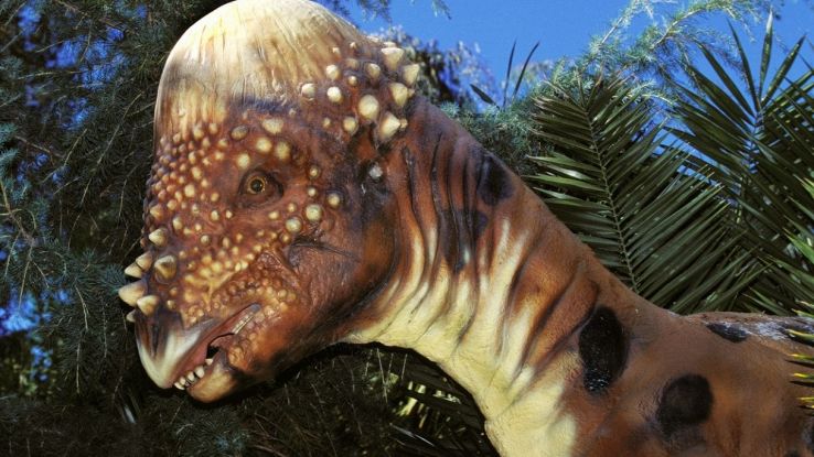 Dinosauro