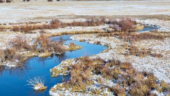 Permafrost