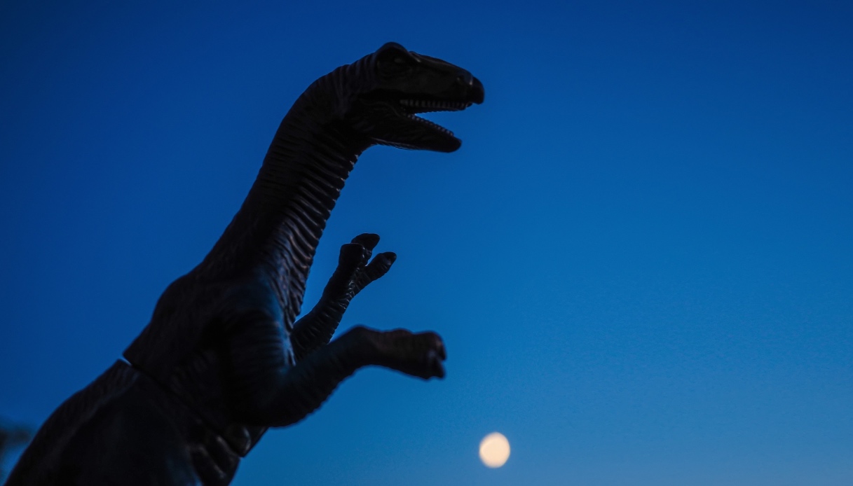 https://wips.plug.it/cips/tecnologia/cms/2025/10/scoperta-sui-dinosauri.jpg