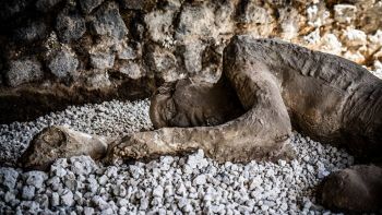 Nuova scoperta su Pompei ed Ercolano, potrebbero esserci stati dei sopravvissuti