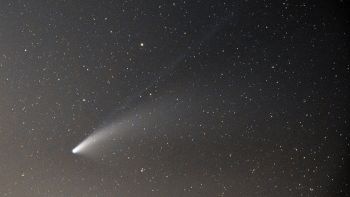 Cometa Lemmon