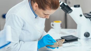 Scoperta la gomma da masticare più antica al mondo, risale a 10.500 anni fa