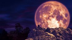 Impatto di asteroidi sulla Luna