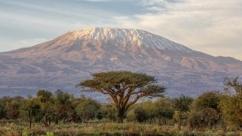 Kilimangiaro