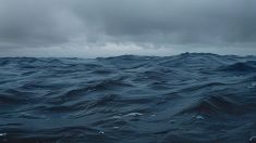 Perché gli Oceani stanno diventando più scuri: cosa sta succedendo