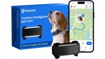 Crolla al minimo storico il localizzatore per cani della Tractive