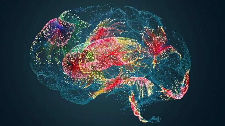Cervello umano