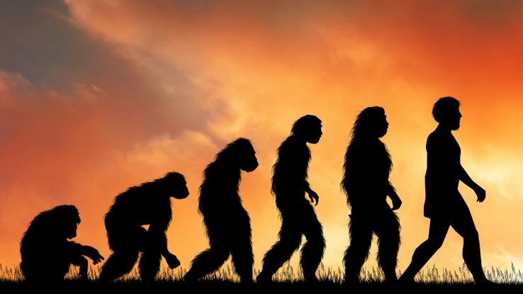 Cronologia dell’evoluzione