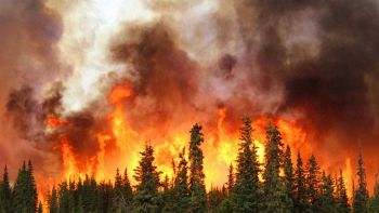Incendi in Alaska per via del riscaldamento globale