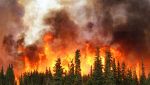 Incendi in Alaska per via del riscaldamento globale