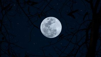 Luna Piena 1 febbraio 2026