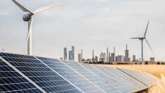 Paesi che producono più energia rinnovabile