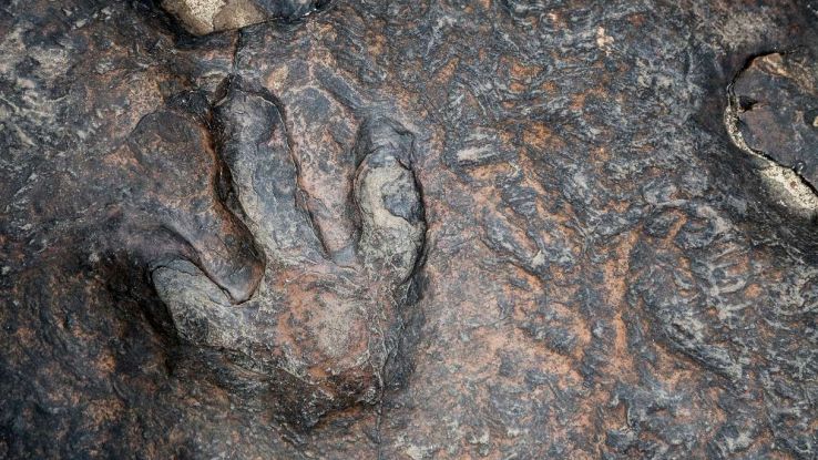Impronte dinosauro