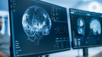 Un cervello virtuale in PC