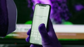 Messaggi truffa, l'assistenza