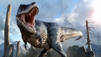 Nanotyrannus
