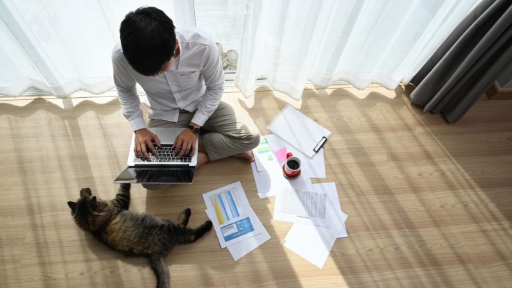 Persona che lavora in contesto casalingo con laptop