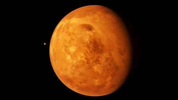 Venere