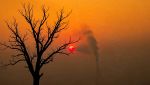 Super El Niño in arrivo? Spieghiamo questo fenomeno per capire se preoccuparsi davvero
