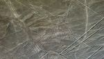 linee nazca