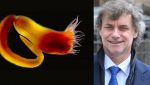 La nuova specie dedicata ad Alberto Angela