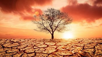 Riscaldamento globale