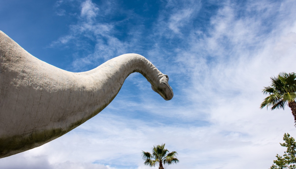 https://wips.plug.it/cips/tecnologia/cms/2026/07/dinosauro-collo-lungo-visto-dal-basso.jpg