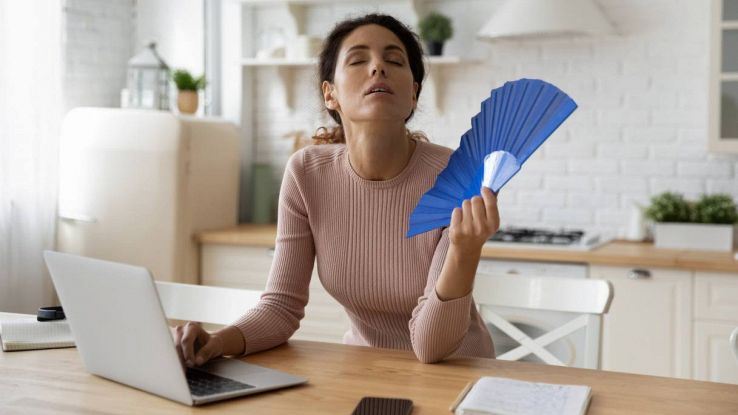 Una donna al pc si sventola