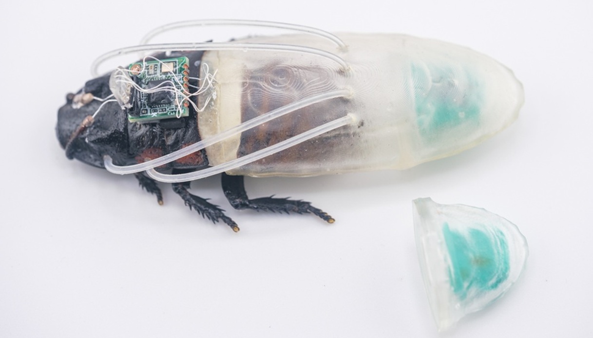 https://wips.plug.it/cips/tecnologia/cms/2026/07/scarafaggi-robot.jpg