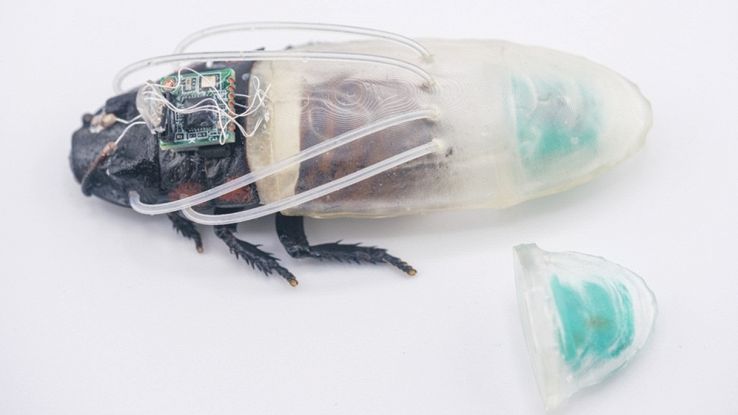 scarafaggi robot