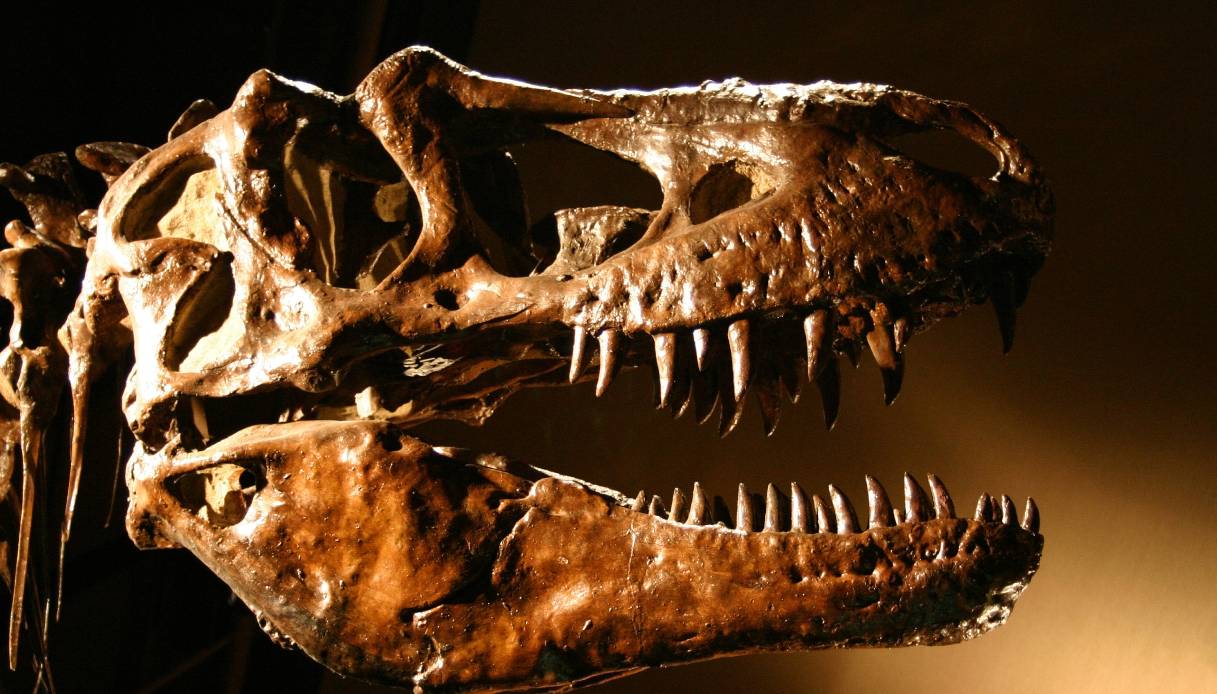 https://wips.plug.it/cips/tecnologia/cms/2026/07/t-rex.jpg