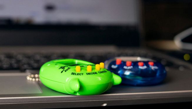 Due tamagotchi