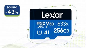 Lexar Scheda Micro SD 256 GB