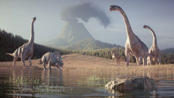 mammifero-dinosauri