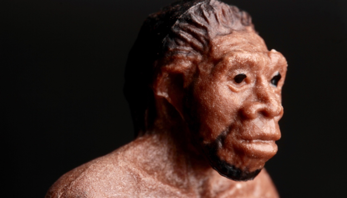 https://wips.plug.it/cips/tecnologia/cms/2026/08/scultura-uomo-preistorico.jpg
