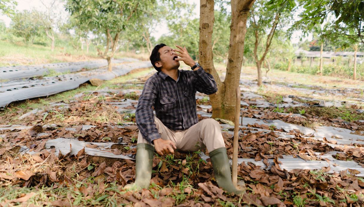 https://wips.plug.it/cips/tecnologia/cms/2026/08/uomo-asiatico-disperato-nella-natura.jpg
