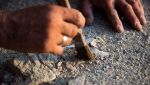 Straordinaria scoperta a Pompeiopolis: affiorano un mosaico monumentale e una testa di Eros